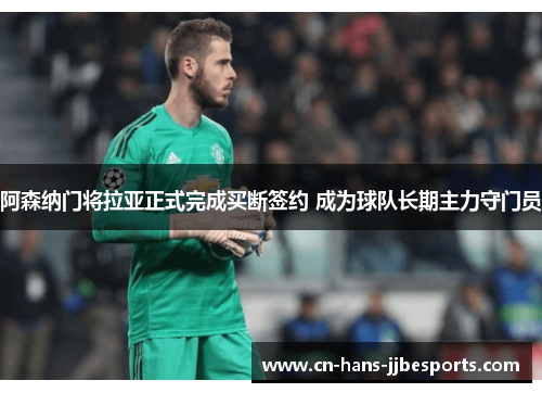 阿森纳门将拉亚正式完成买断签约 成为球队长期主力守门员